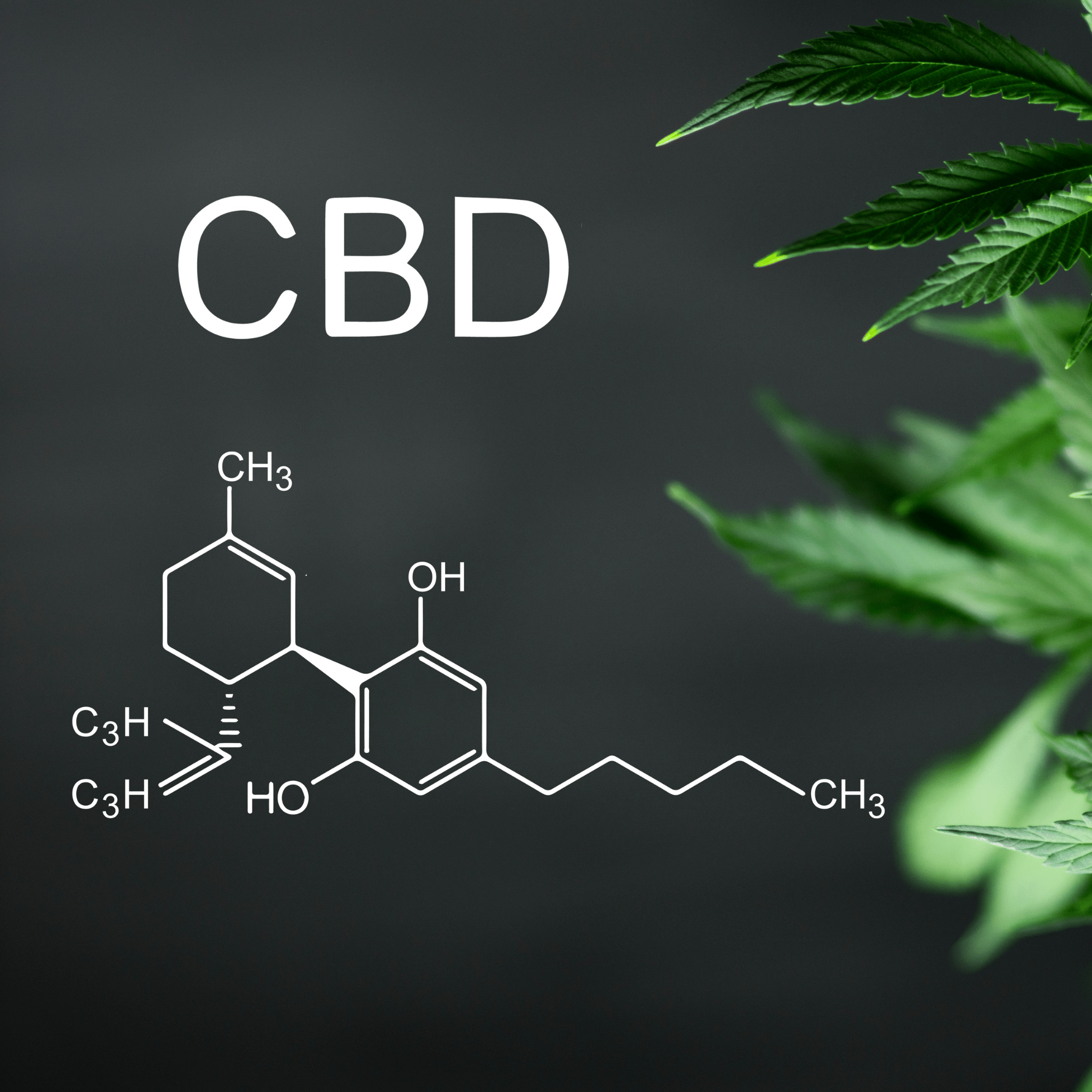 CBD Naturail Oil